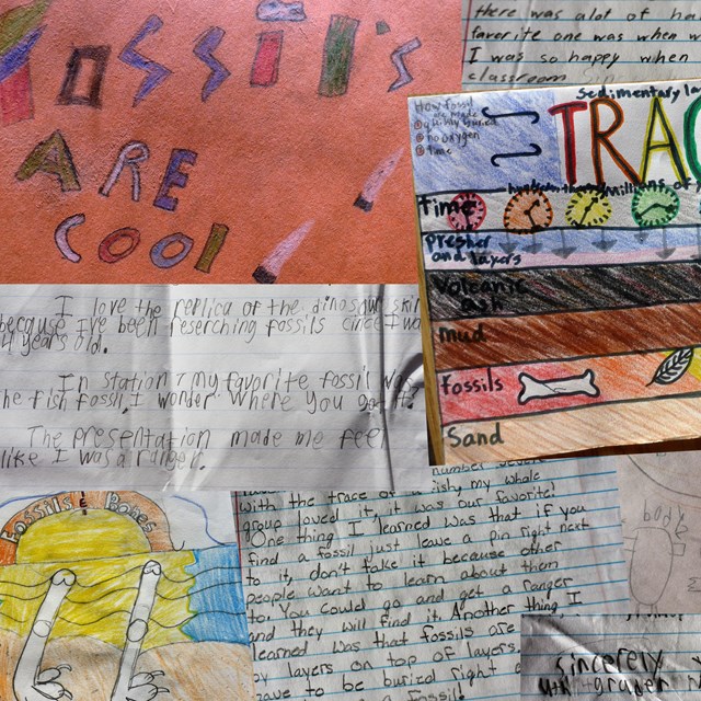 A collection of thank you notes from students to an education ranger