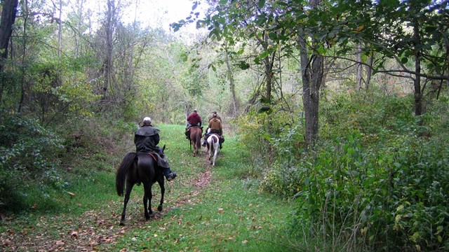 horseback riders on the Bluestone trail