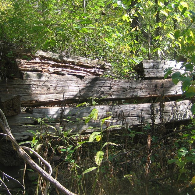ruins of an old cabin