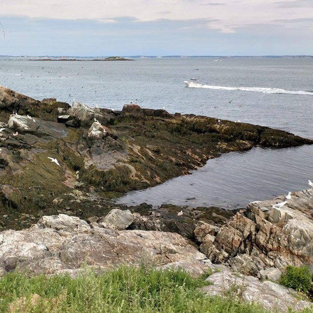 A rocky shoreline juts into the water. Low grass in the foreground.