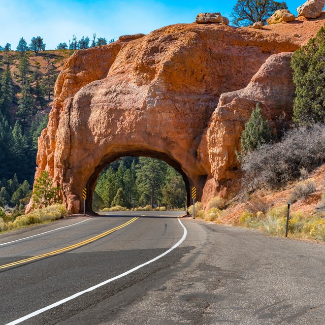 A tunnel formed from red rocks stretches over a road.