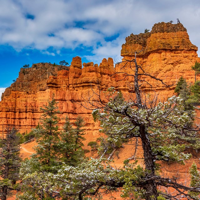 Red rock formations surrounded by green trees and vegetation.