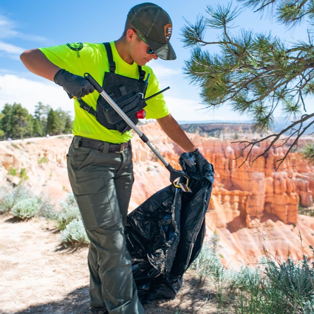 A ranger in a bright yellow shirt uses a grabber to pick up trash and put in a trash bag.