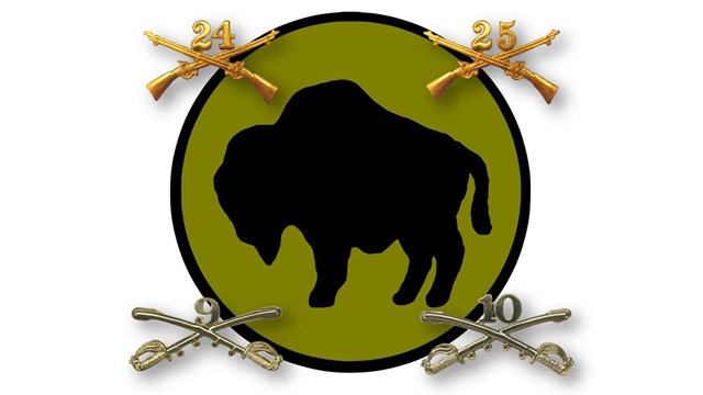 The regimental pins of the four buffalo soldier regiments surrounding a buffalo logo