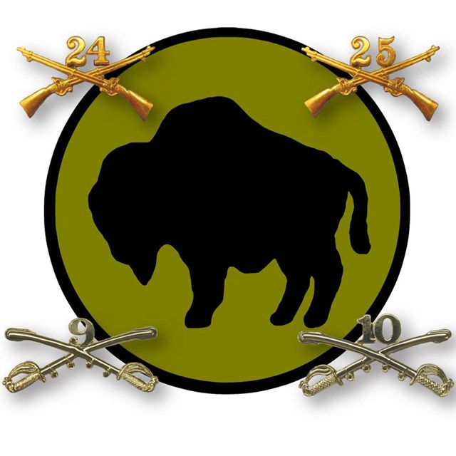 The regimental pins of the four buffalo soldier regiments surrounding a buffalo logo