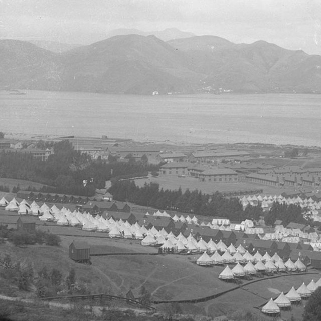 Several white tents placed near the shoreline by a bay