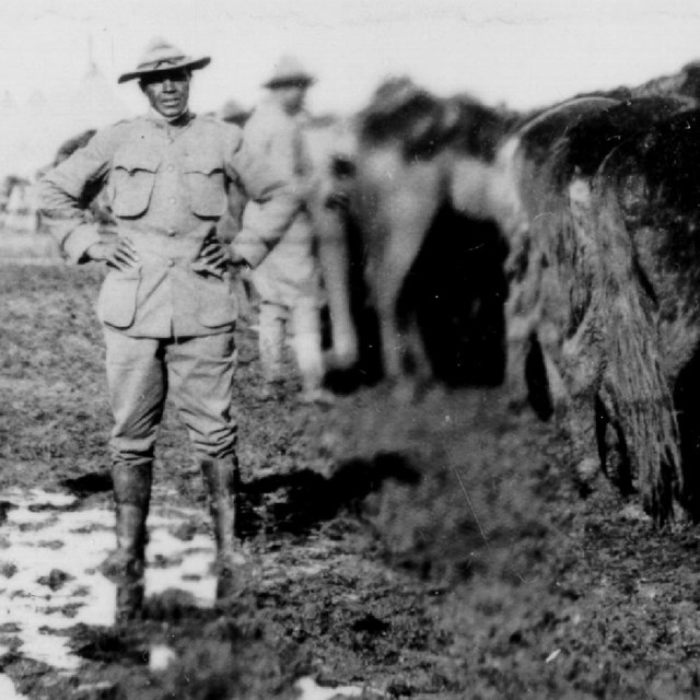 Army soldiers standing in a muddy field next to several horses