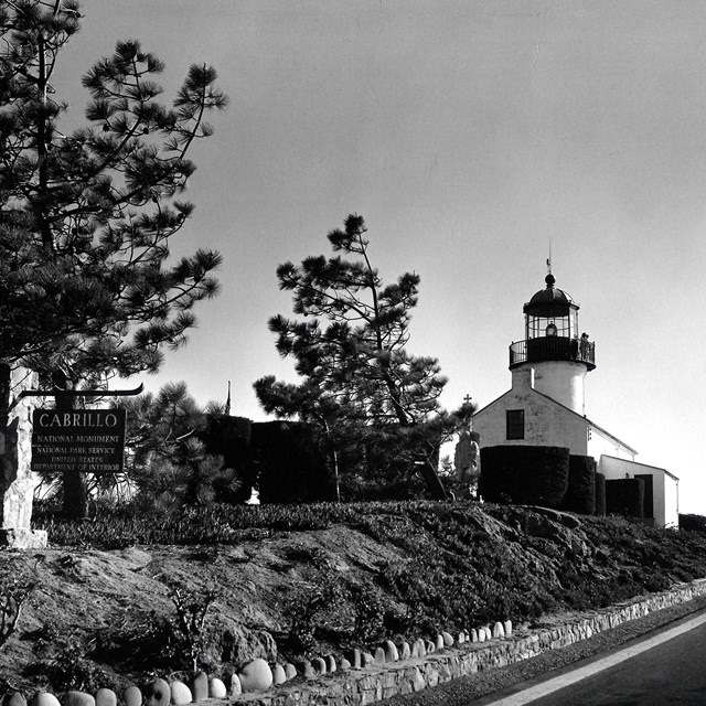 Black and white photo of road, trees, and white building with central tower.