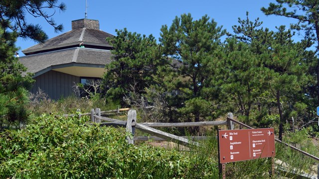 A round structure with a shingle roof sits at the top of a wooded hill.
