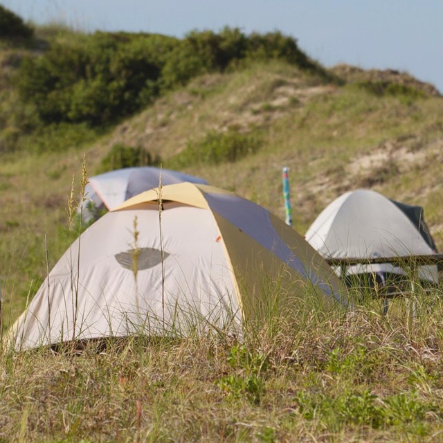 Three tents among the grassy dunes