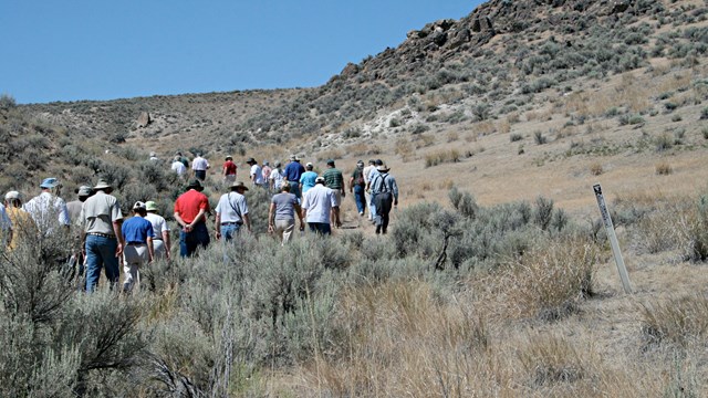 A group of people walk up a shrub-covered rivine.