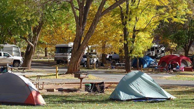 RVs, tents, cars, and vans in a green, shaded campground, with some fall colors.