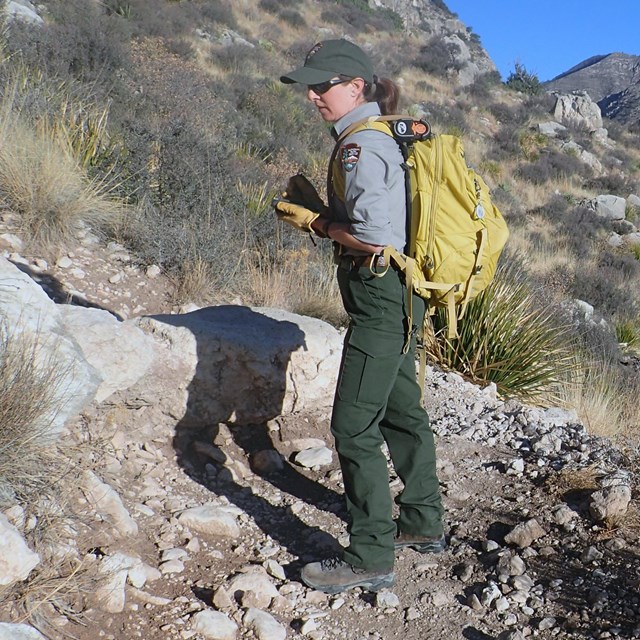 Scientist surveying for invasive exotic plants.