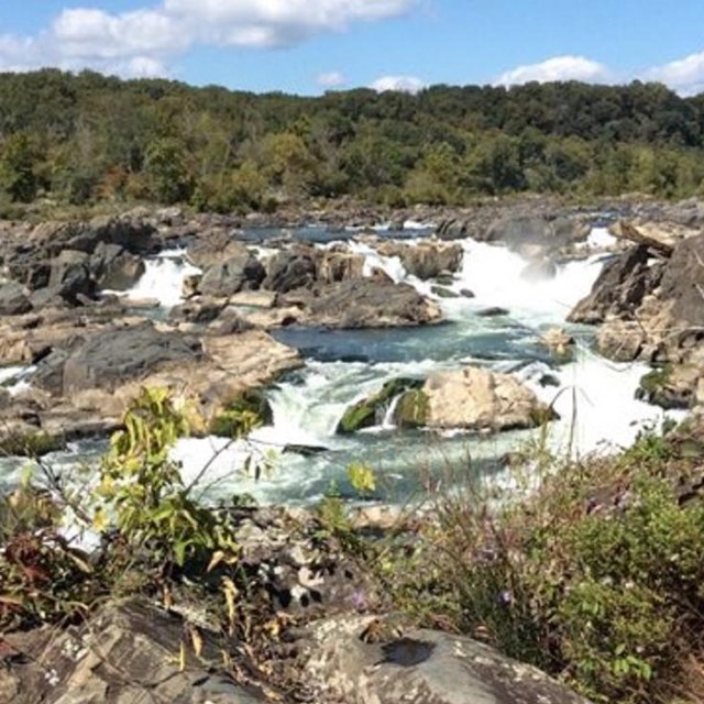 Looking upriver at the Great Falls from Olmsted Island