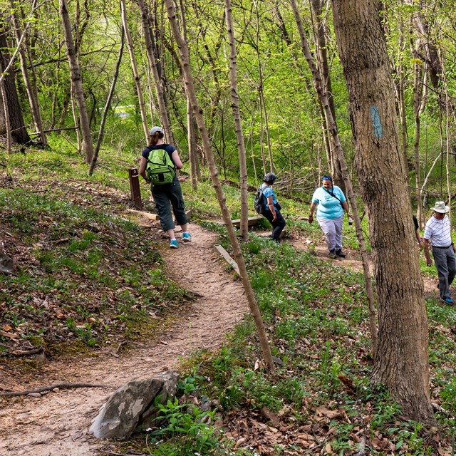 People hiking on trail