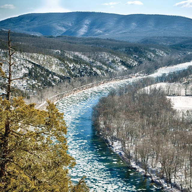 Aerial view of a wintry river and trees