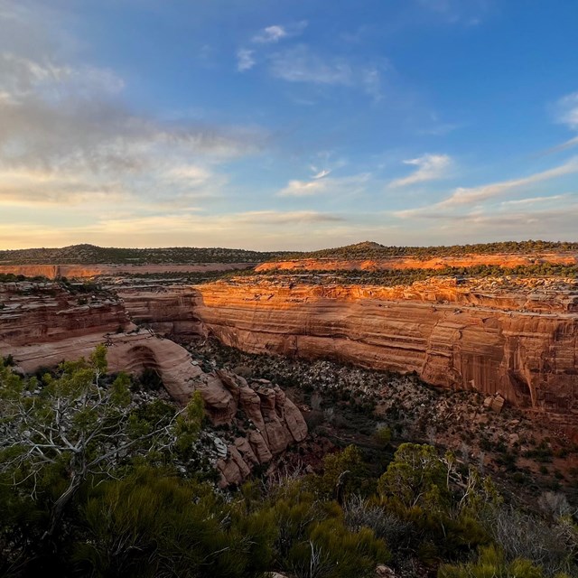 warm sunset light makes canyon walls glow