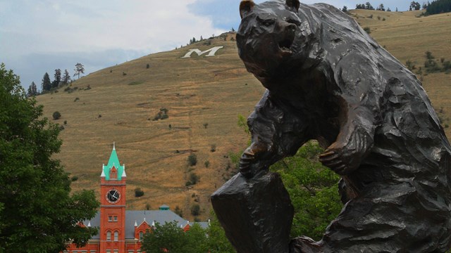 View of University of Montana
