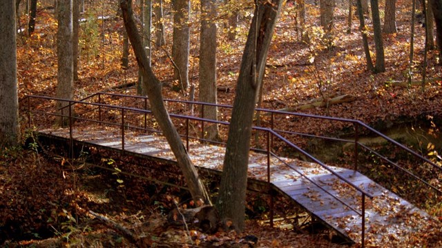 Picture of foot bridge at winter on nature trail