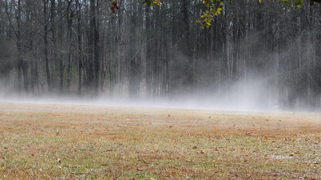 Ground fog moves across the ground. 