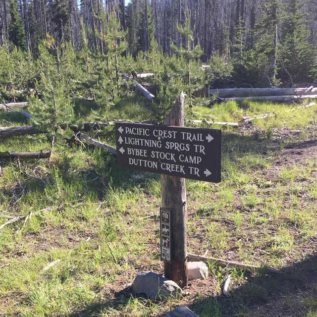 trail and campground directional sign