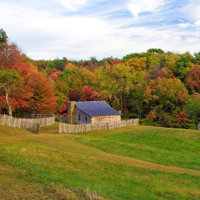log cabins surrounded by tree covered in fall foliage.
