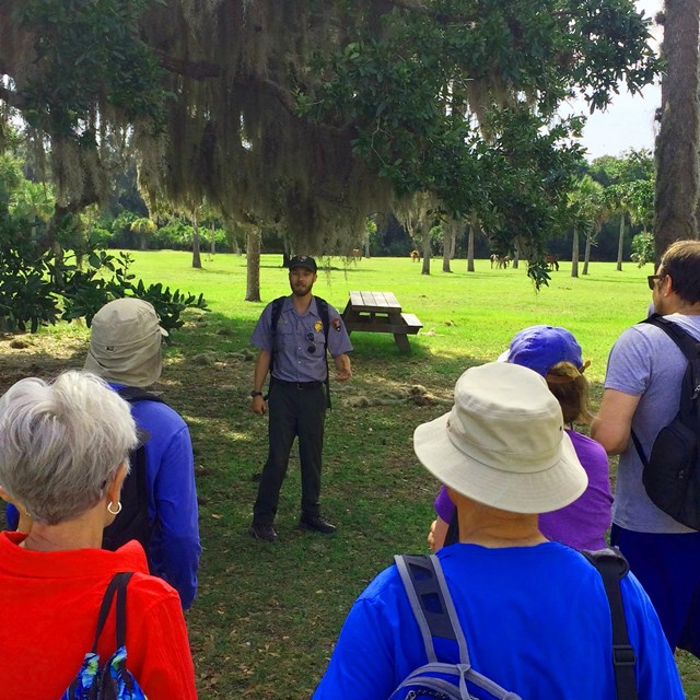 park ranger stands under large live oak tree speaking to a group of visitors