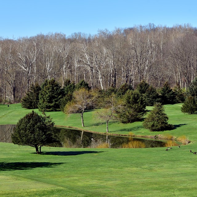 Evergreens and leafless deciduous trees dot a manicured grassy landscape with a small pond.