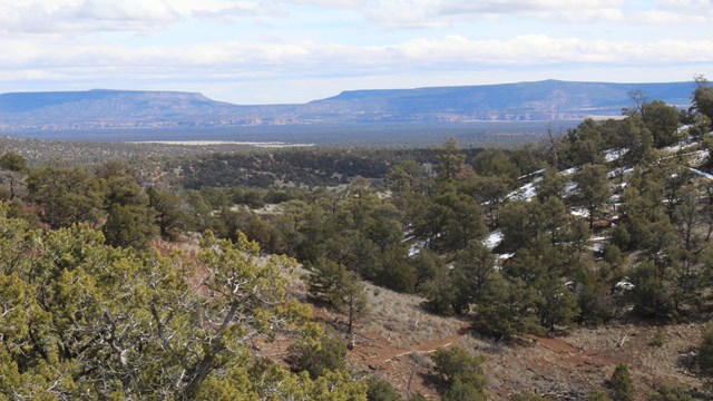Pinyon-juniper and ponderosa pine forests stretch out to the bluffs in the distance.
