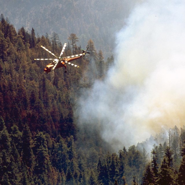 A helicopter flies over a forest with a smoke plume rising.