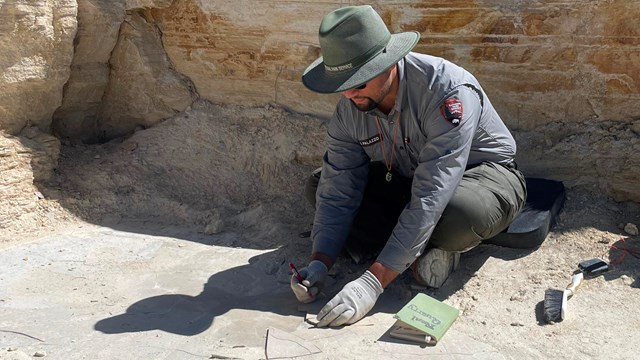 A man in park service uniform sits and holding a rock against the ground and a pencil. 