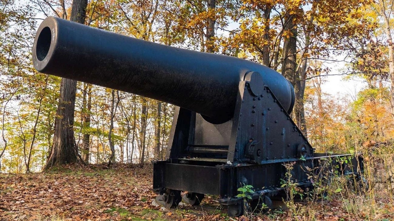 A cannon in front of trees.