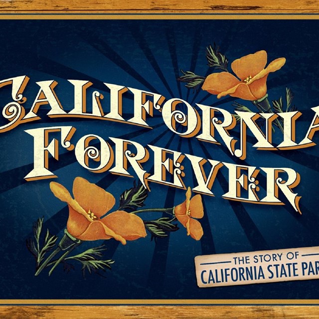 Orange flowers around California forever text