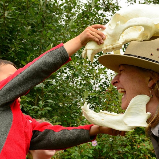 A child places an animal skull on a ranger's head