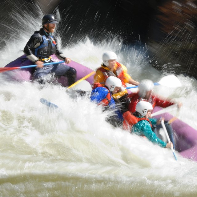 rafters in whitewater