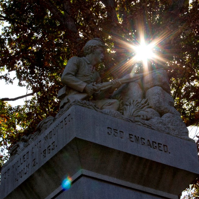 The sun shines through a tree over the head of statue at the top of a monument. 