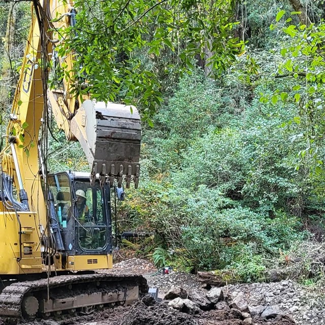 Equipment working in creek with lush vegetation and trees in background.