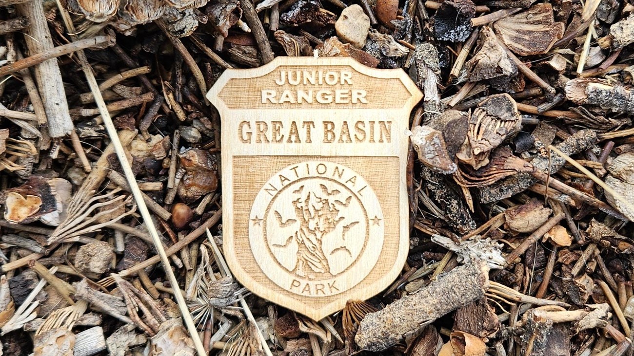 A color image with a small wooden junior ranger badge surrounded by forest floor chips and a pinecon
