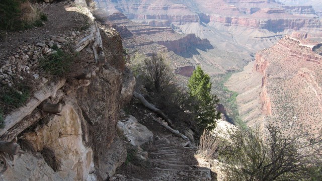 A hiking trial into the Grand Canyon.