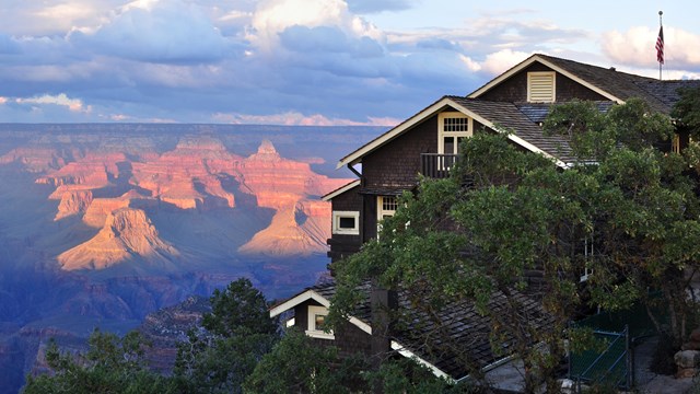 A building blocked by a tree with the Grand Canyon in the background