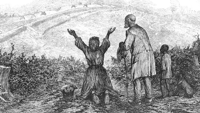 Drawing of family realizing their freedom in an open field with outstretched arms.