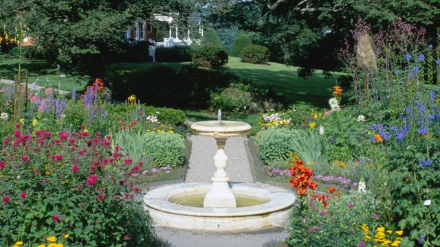 Fountain surrounded by flowers in a garden