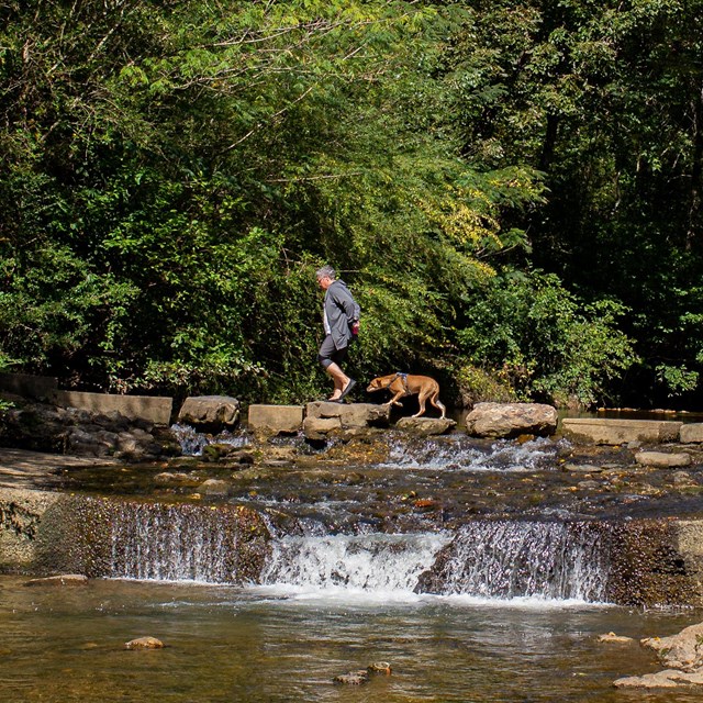 A woman and her dog crossing a creek