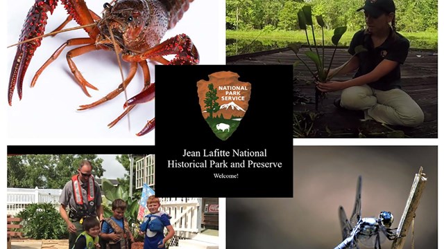 a crawfish, an adult with kids in life jackets, a dragon fly, a scientist holding an aquatic plant
