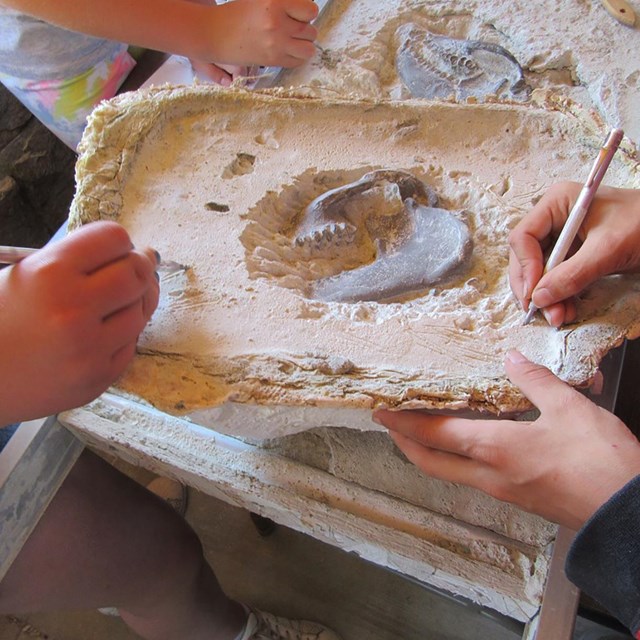 students use dental tools to dig away at plaster around fake fossils during a field trip