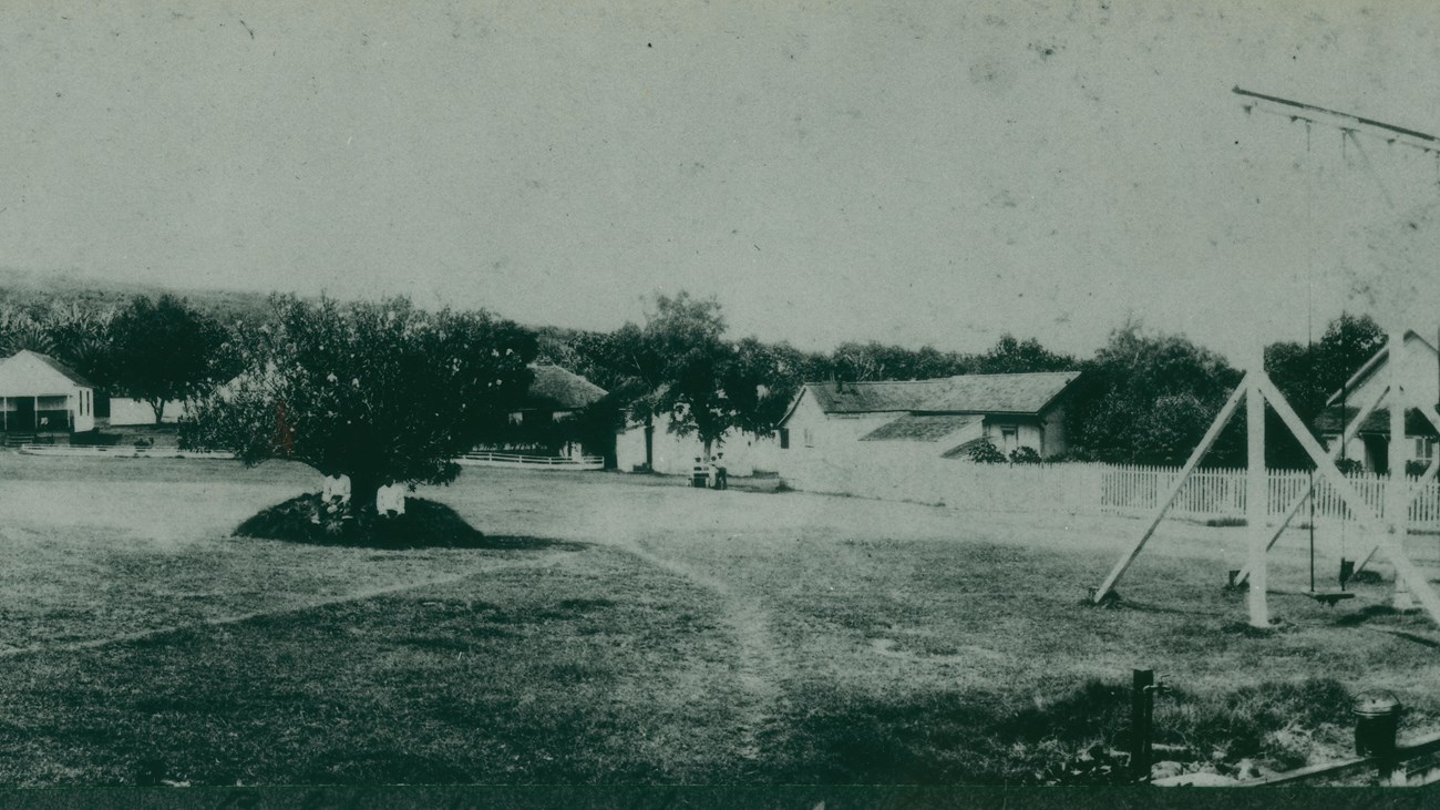 A black and white image of a lawn with a tree and a playground on the right side. 