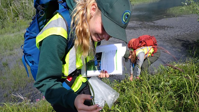 Youth Conservation Corps examines grass with papers in hand