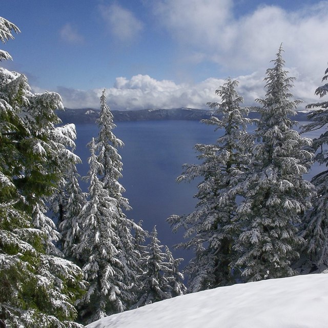 Snow covered landscape view of Crater Lake with trees in foreground