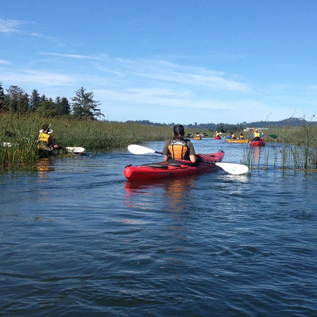 Guided Kayak tours on the Lewis and Clark River and surrounding wetlands