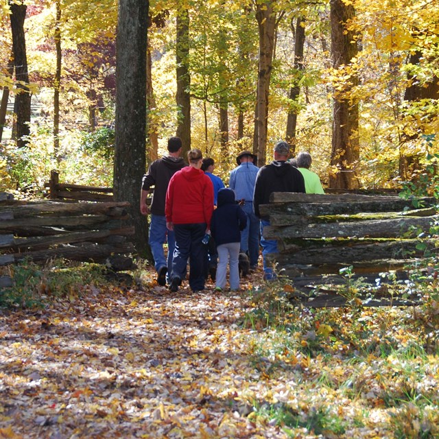 Enjoy hiking the park trails with your family.